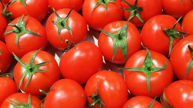 Россельхознадзор вводит ограничения на ввоз томатов белорусской компанией «Дорорс» из-за вируса
