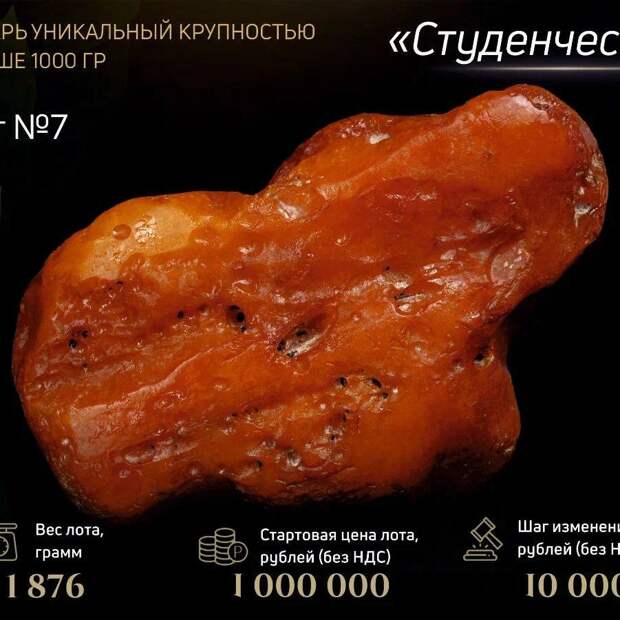 Калининградский комбинат начал прием заявок на единственный в мире аукцион уникального янтаря