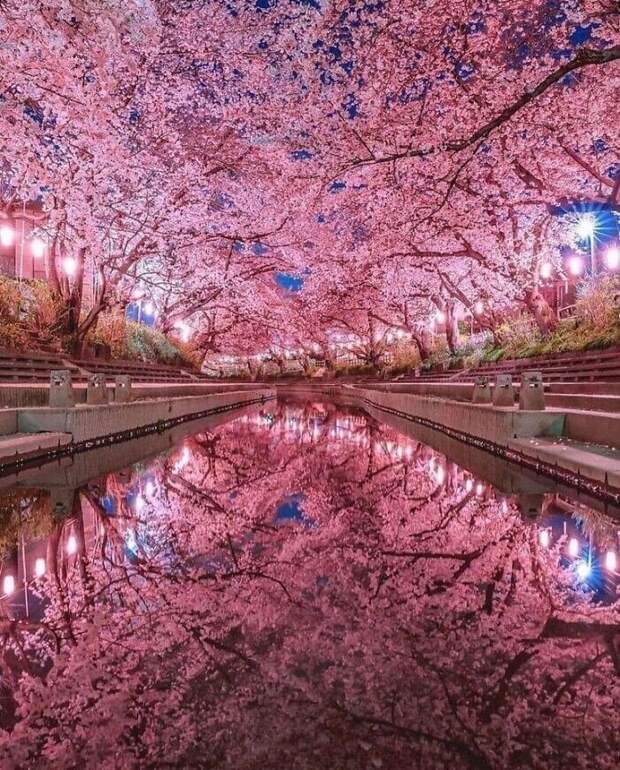 Bigpicture ru без названия 2022 06 28t194313.100