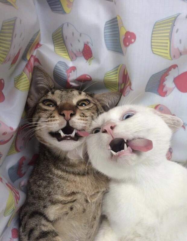 Фотоподборка
