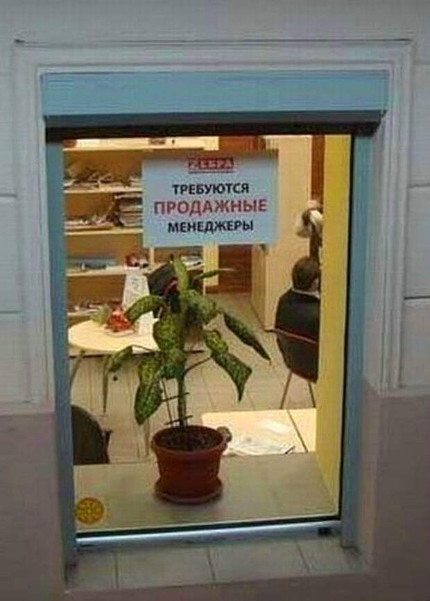 Все эти менеджеры продажные. | Фото: BlueSystem.