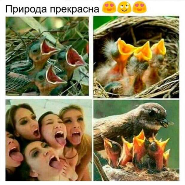 Новые прикольные фотомемы (25 шт)