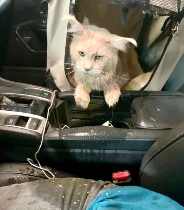 20 человек, у которых был просто кошмарный, нехороший, очень плохой день