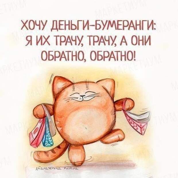 Несколько задорных открыток с отборным юмором