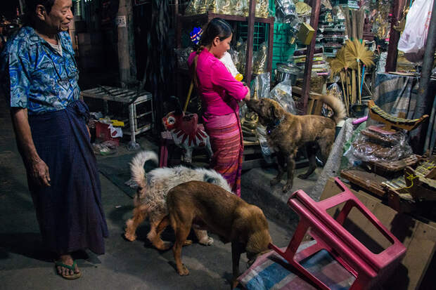 a_new_family_photo_story_by_sai_htin_linn_htet_15