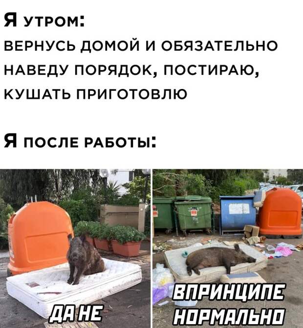 Смешные картинки 8 октября 2021 года