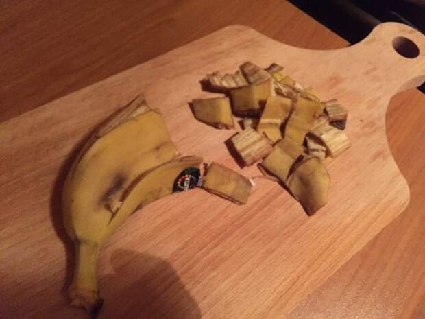 Банановая кожура — ценное удобрение комнатных растений
