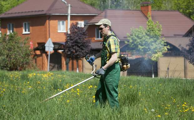 Дачников предупредили о штрафе за нескошенную траву на участке