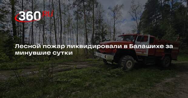 Лесной пожар ликвидировали в Балашихе за минувшие сутки