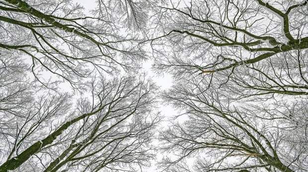 Москву ждут температурные качели