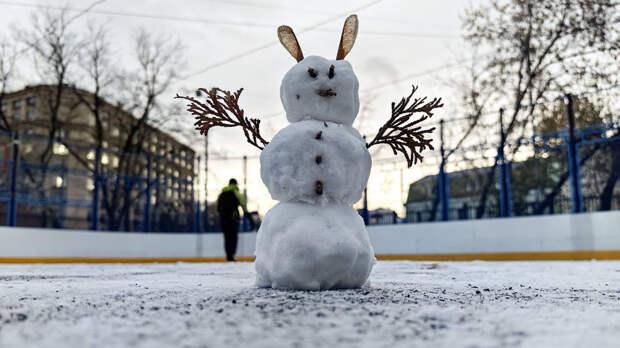 Москвичам назвали срок появления снежного покрова