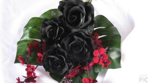 Букет из чёрных роз