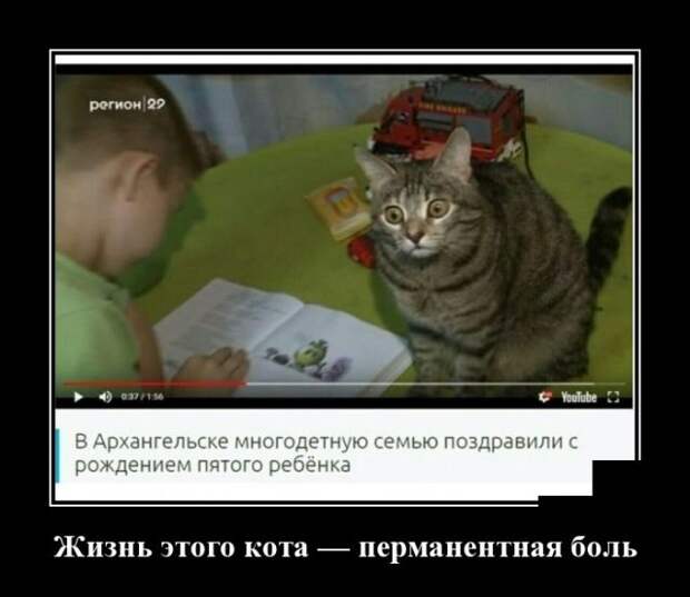 Демотиваторы (30 фото)