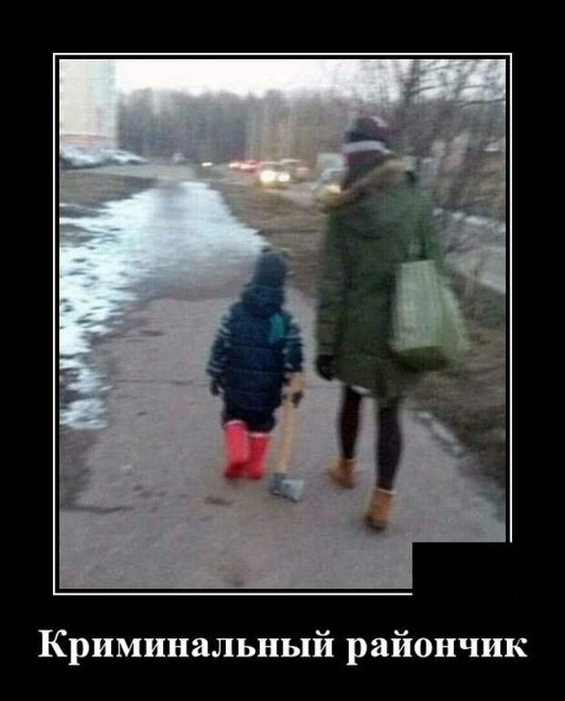 Демотиваторы (20 фото)