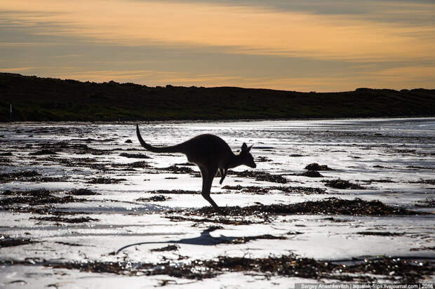 Lucky Bay