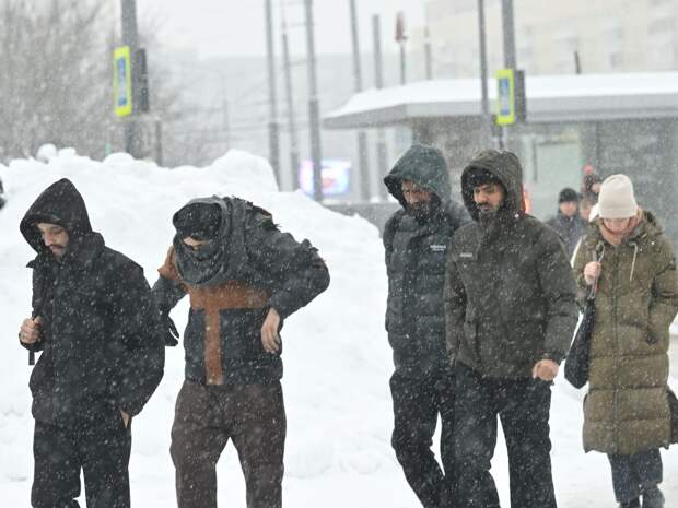 Популярность среди мигрантов: в Тюмени и ХМАО отмечается новая активная тенденция
