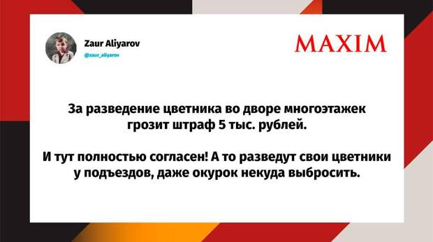 Самые смешные шутки понедельника и «национальное сокровище»