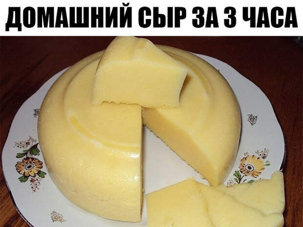 Домашний сыр за 3 часа 