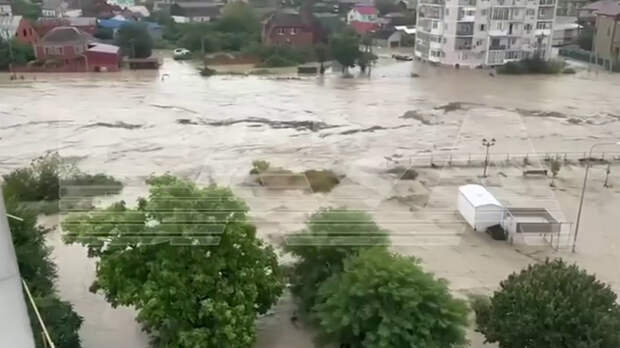 Фото: скриншот из видео Baza