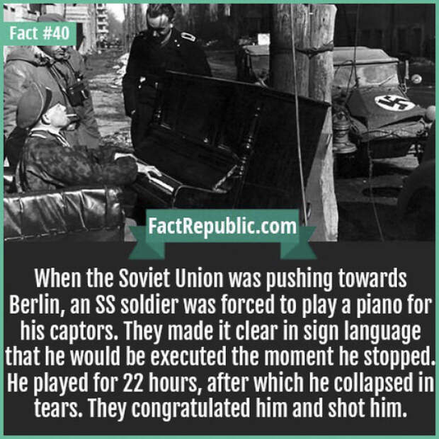 Everyday Life Facts
