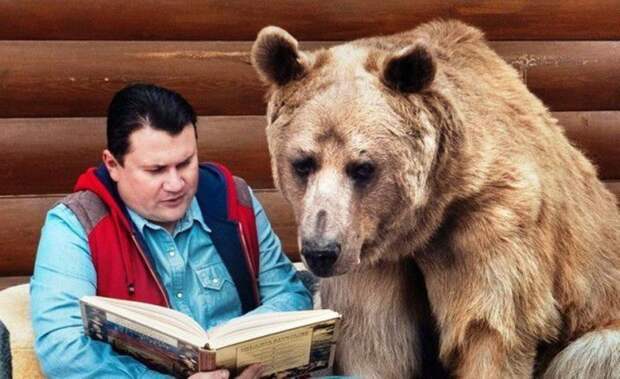 Друг по имени Степан: домашний питомец весом 450 кг