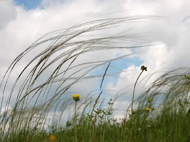 ���� ���������� �����. �������