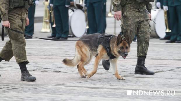 В День Победы перекроют проезд по центральным улицам Екатеринбурга