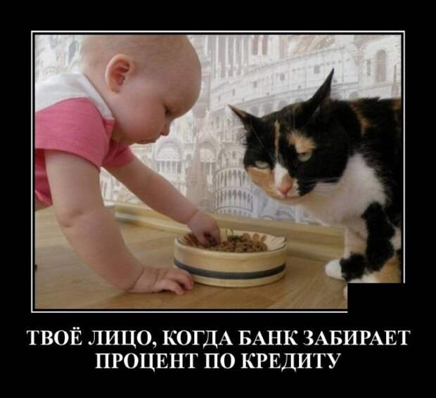 Демотиваторы (20 фото)