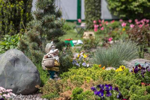 Товары для дачи: что не стоит покупать для участка, чтобы не жалеть