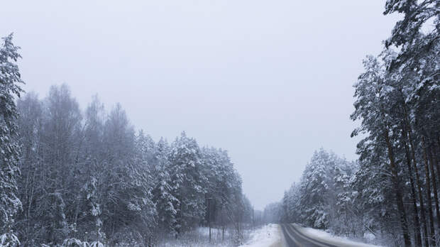 Синоптик Шувалов: похолодание на длинные выходные пойдёт восточнее Москвы