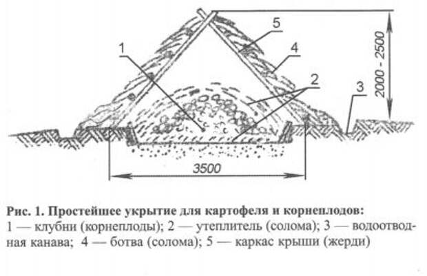 Кладовая для урожая Кладовая для урожая