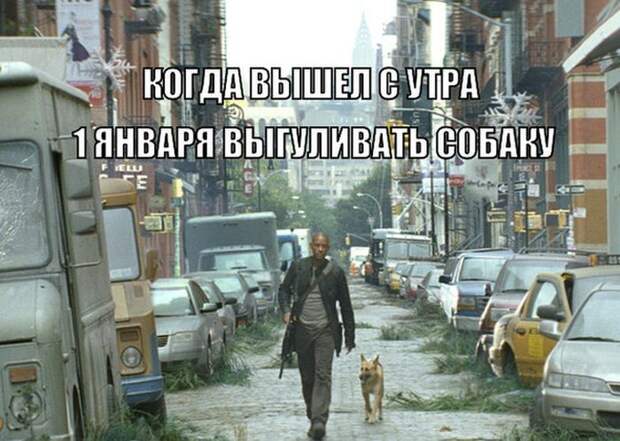 Прикольные фото уходящего года! приколы, фото, юмор