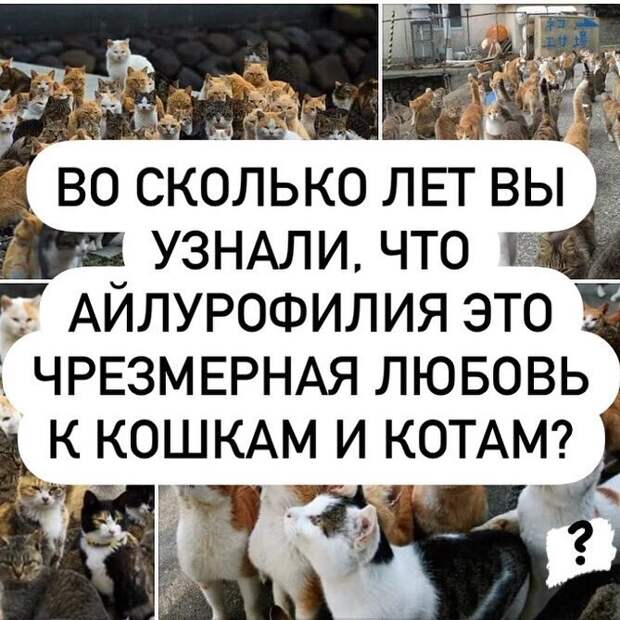 Есть такие среди фишкян? Есть такие среди фишкян?