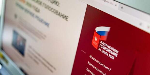 Эксперт отметил надежность системы дистанционного электронного голосования / Фото: mos.ru