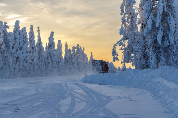 ПНИПУ: прогулки при морозах ниже −25 градусов опасны для здоровья