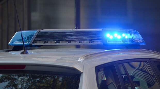 Тело пропавшей почти год назад женщины обнаружили в Тюменской области