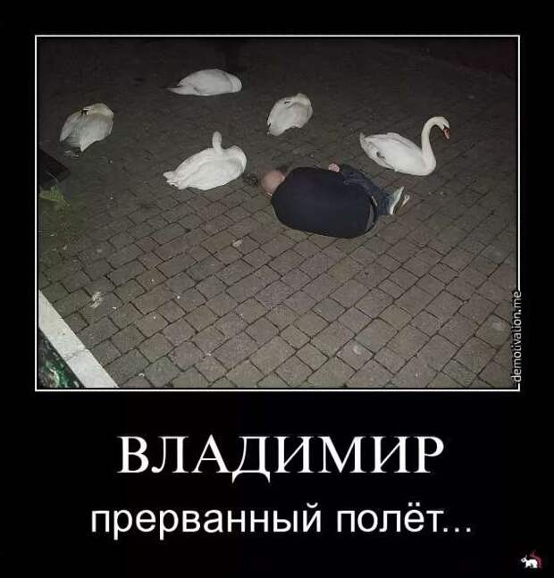 Прикольные демотиваторы с надписями. Подборка chert-poberi-dem-chert-poberi-dem-32360623082020-16 картинка chert-poberi-dem-32360623082020-16