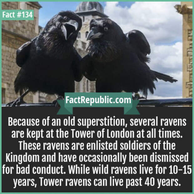 Everyday Life Facts