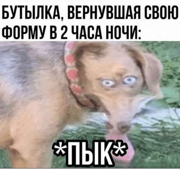 Свежие мемы на утро (01.06.2023)