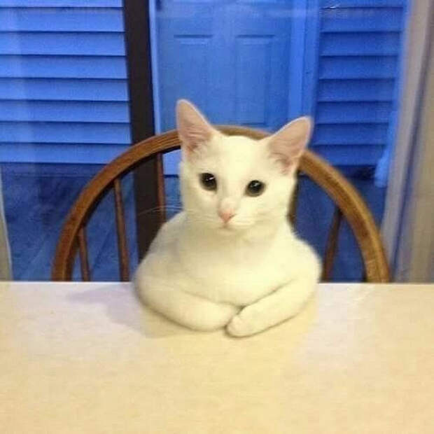 photo (700x700, 318Kb)