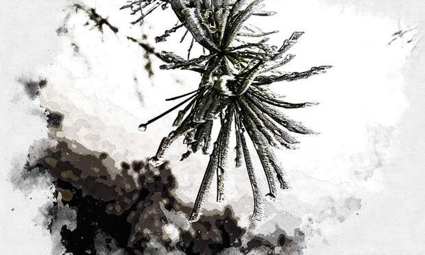 Синоптики прогнозируют возвращение мокрого снега в Орловскую область