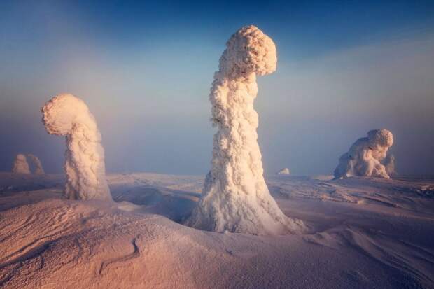Когда в Финляндии температура опускается до -40 °C, деревья покрываются таким количеством снега, что это выглядит как пейзаж с другой планеты