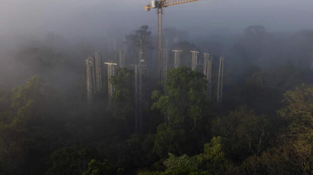 Фото: Лучшие научные снимки 2025 года