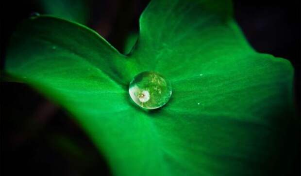 Буцаев: Волонтеры-экологи в этом году провели уже свыше ста мероприятий