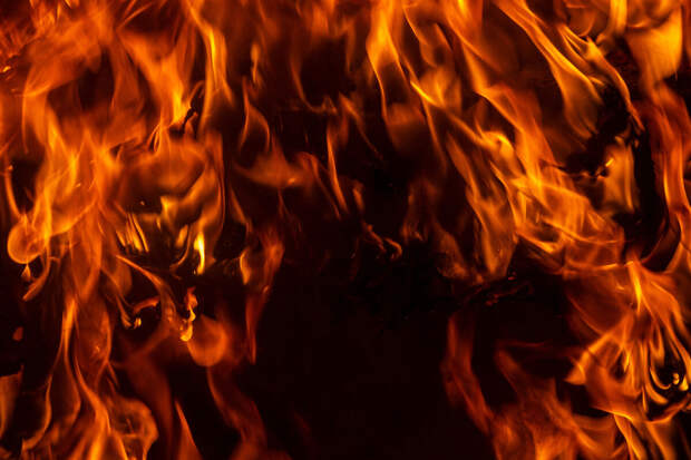 В Индии родственники устроили расправу над мужчиной ради участки земли