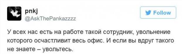 Они просто устроились на работу в офис и вот что произошло 