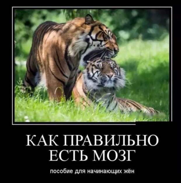 Новая подборка демотиваторов