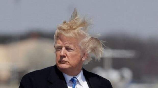 Трамп Трамп