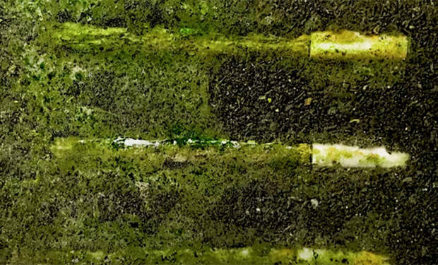 4 Что будет с землей если в нее закопать сигареты