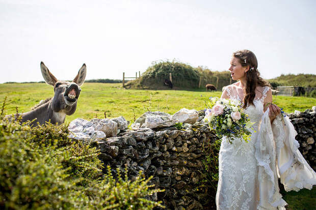12 свадебных фотографий, которые испортила какая-то скотина